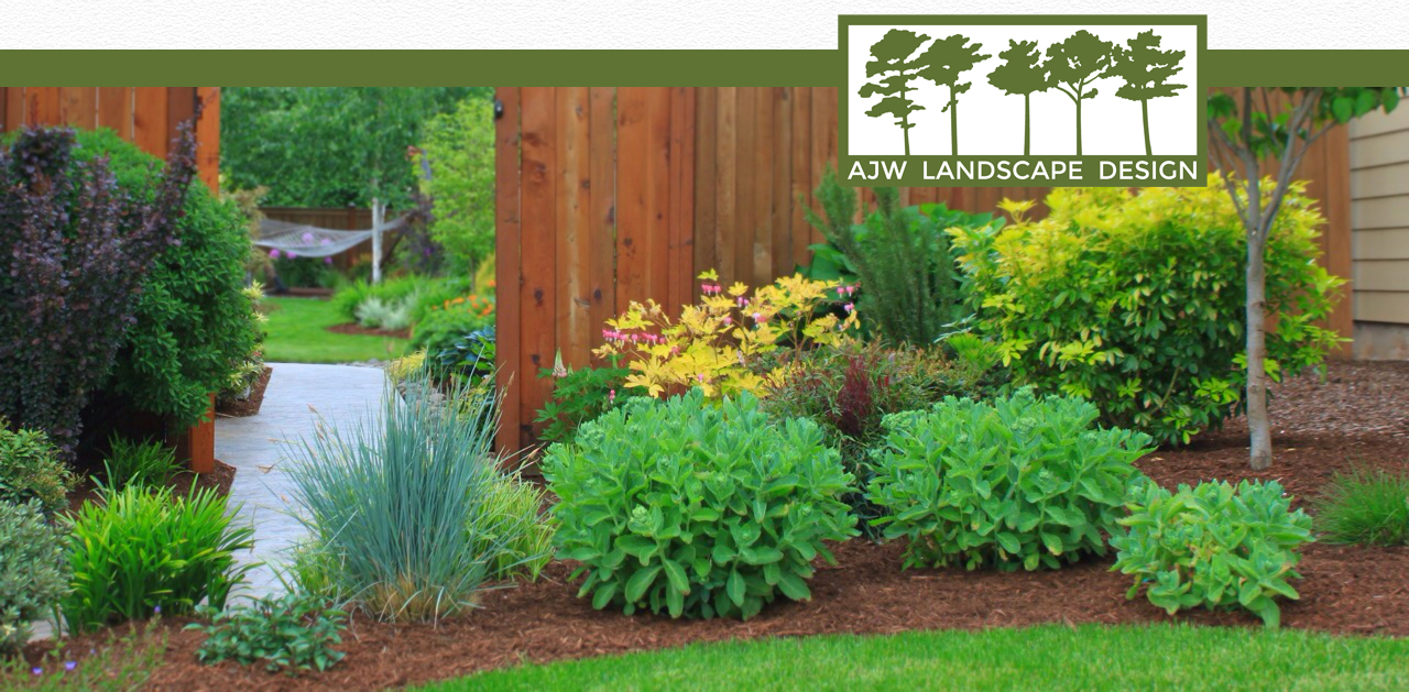 colorful plantings looking into the backyard