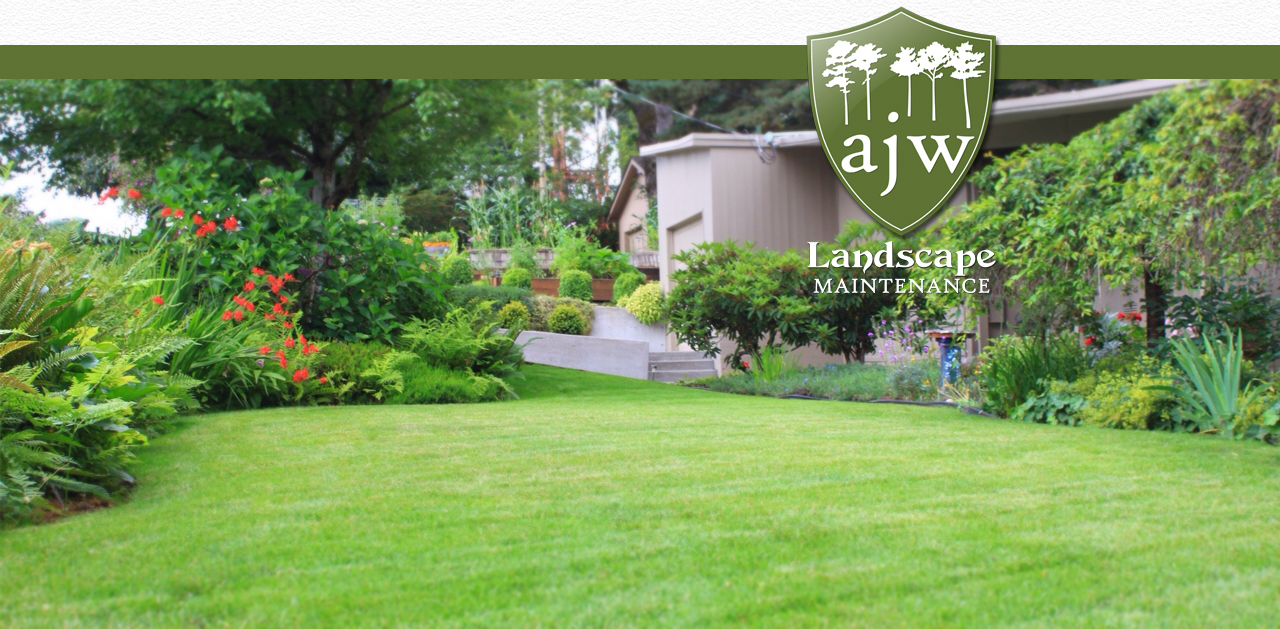 dry creek bed with grasses and perennials
